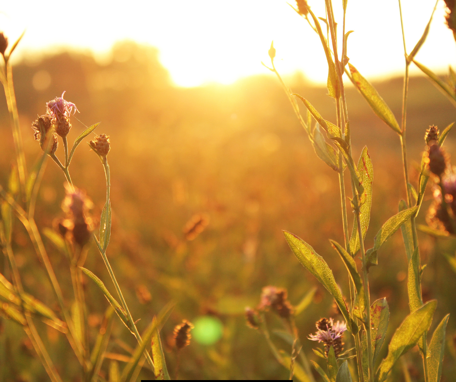 أذكار الصباح