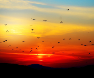 أذكار المساء