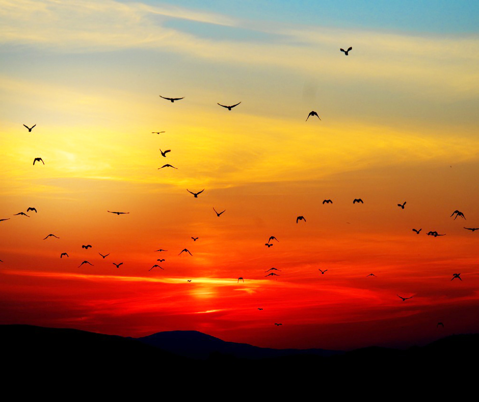 أذكار المساء